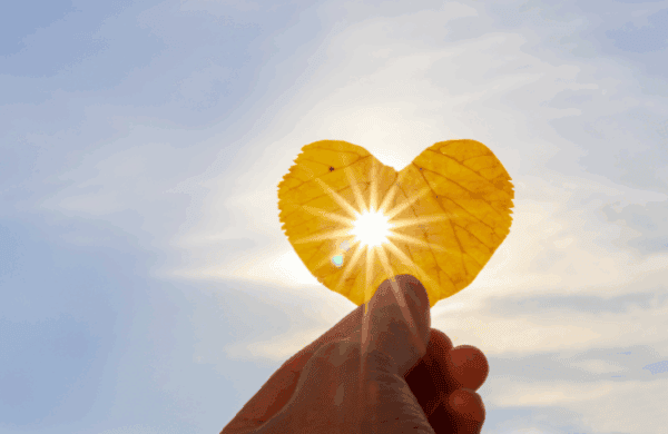 Seasons of Change and Challenges – always find the love.