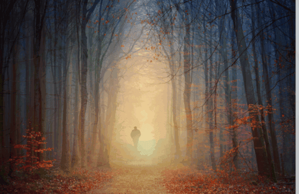 When the Veil is Thin: A Sacred Time of Connection